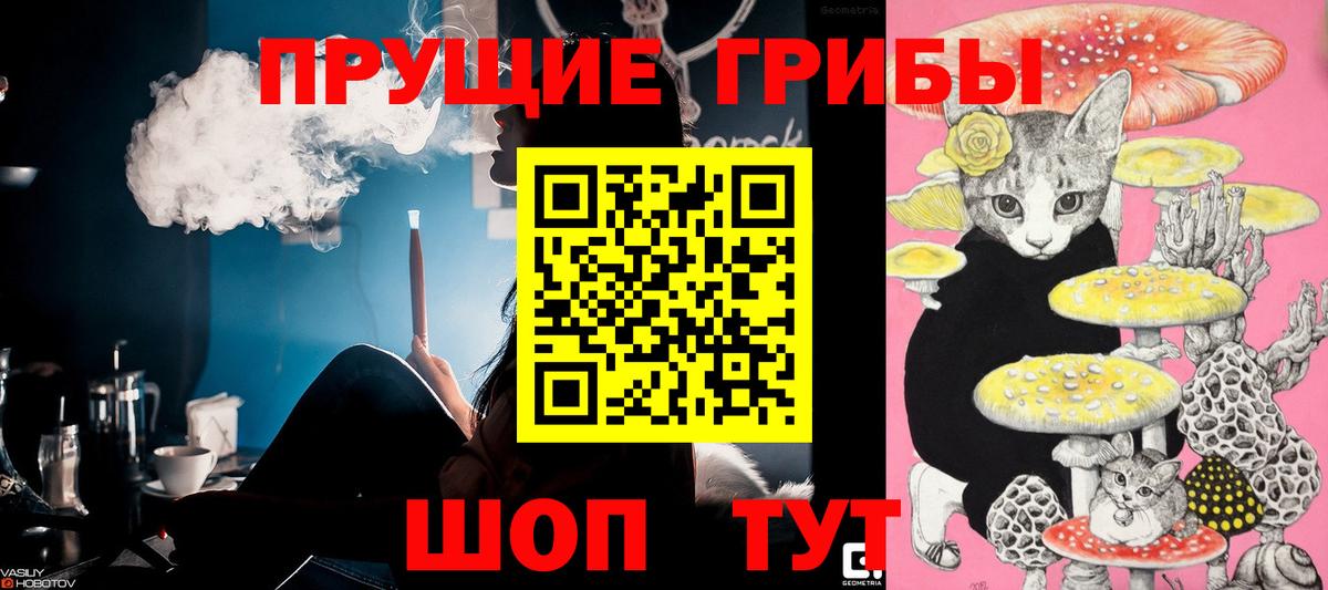 Галлюциногенные грибы мицелий  Вход с VPN  Галлюциногенные грибы MAGIC MUSHROOMS  Дубна 