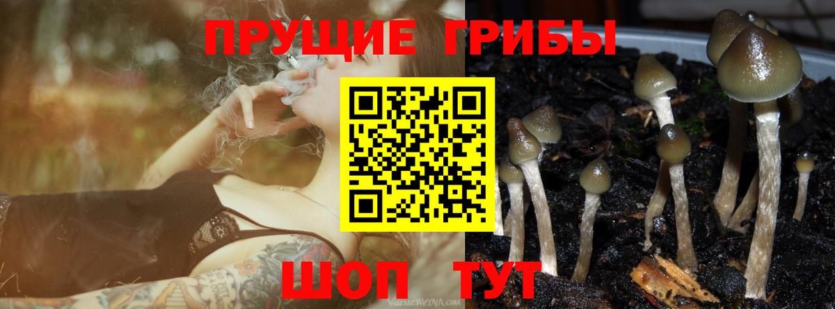 Псилоцибиновые грибы ЛСД Дубна